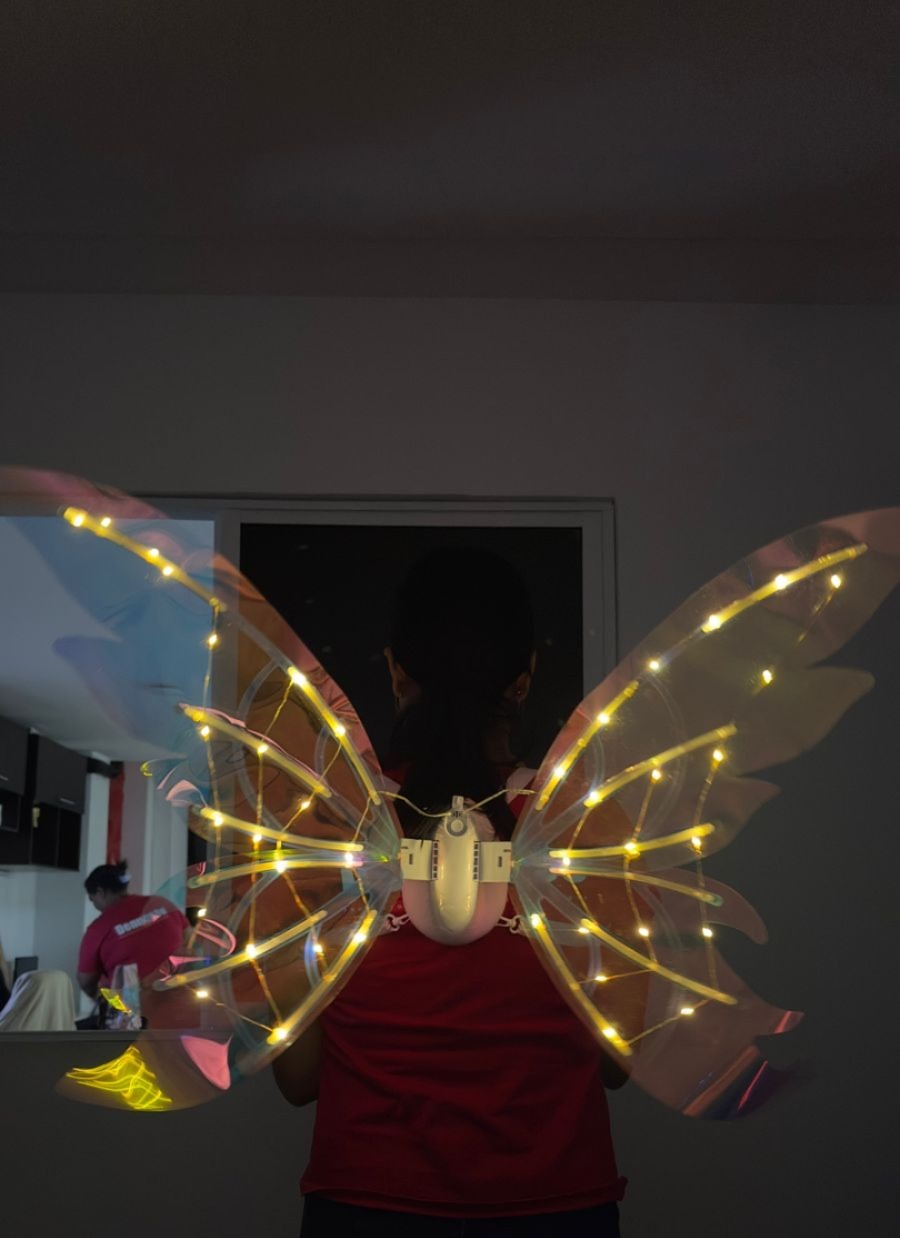 Alas De Hada De Elfo